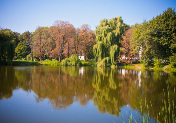 Image - Andrushivka, Zhytomyr oblast: park.